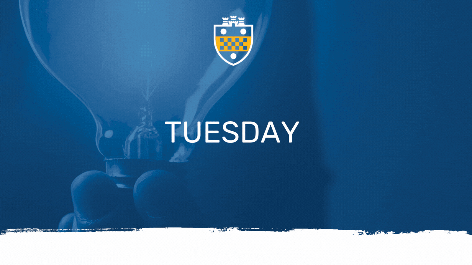 Tech Tuesday Beckman Plastic Alternative
